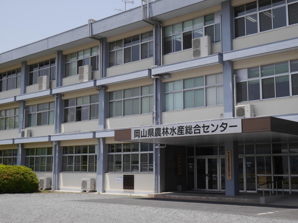 岡山吉備中央町ぶどうピオーネ